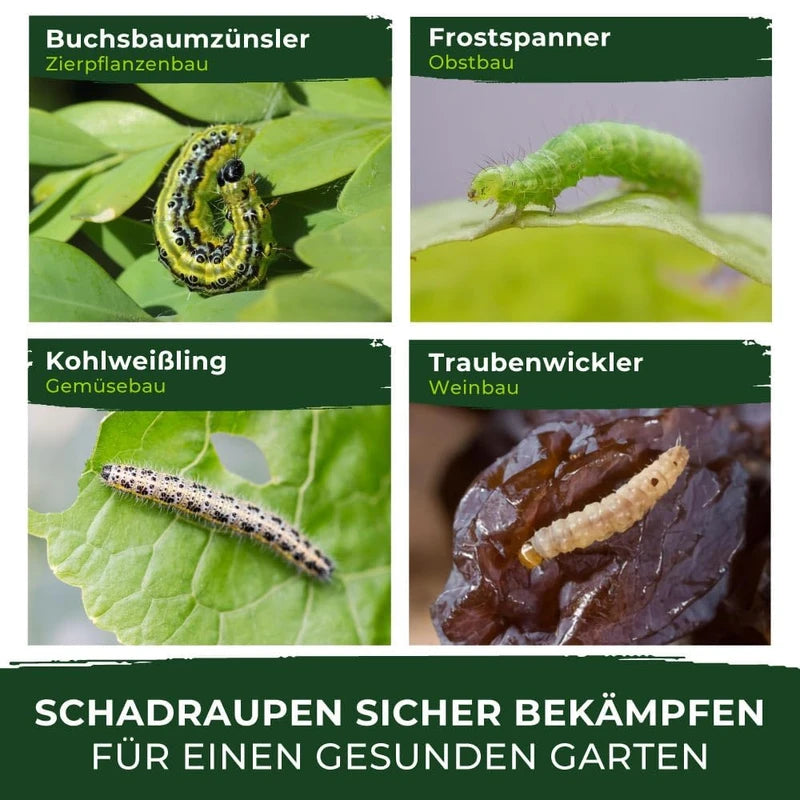 Legona® Xentari Moth-free & Caterpillar Free Boxwood Moth Spraying Agent, Biological Control of Mother, Cabbage White and Frost Teaser, 20 g, Easy to Dose, Not Dangerous to Bees