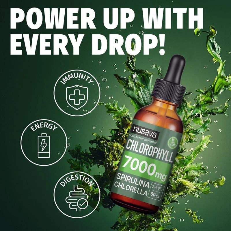 (2-Pack) Vegan Liquid Chlorophyll Drops 7000mg – Natural Supplement for Immune Support, Energy, Digestion, Detox & Skin Health, Mint Flavor