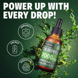 (2-Pack) Vegan Liquid Chlorophyll Drops 7000mg – Natural Supplement for Immune Support, Energy, Digestion, Detox & Skin Health, Mint Flavor