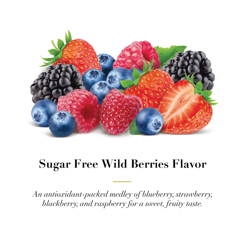 DOOLITTLE DOOLITTLE Sugar Free Soft Fruit Pastilles for Voice and Throat, Wild Berries Flavor, 2.12 Ounce Tin, Approximately 25 Count Package, 4 Pack