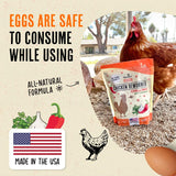 Roosty's Naturals Chicken De-Wormer Powder - Chili Mix | 1LB Pouch | All-Natural Formula | US-Made Chicken Wormer, Poultry De-Wormer | Chicken Medicine Supplies to Relieve and Safeguard from Worms