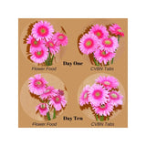 Chrysal CVBN Tablets 800 count jar clear odorless water Flowers Pill NEW SEALED