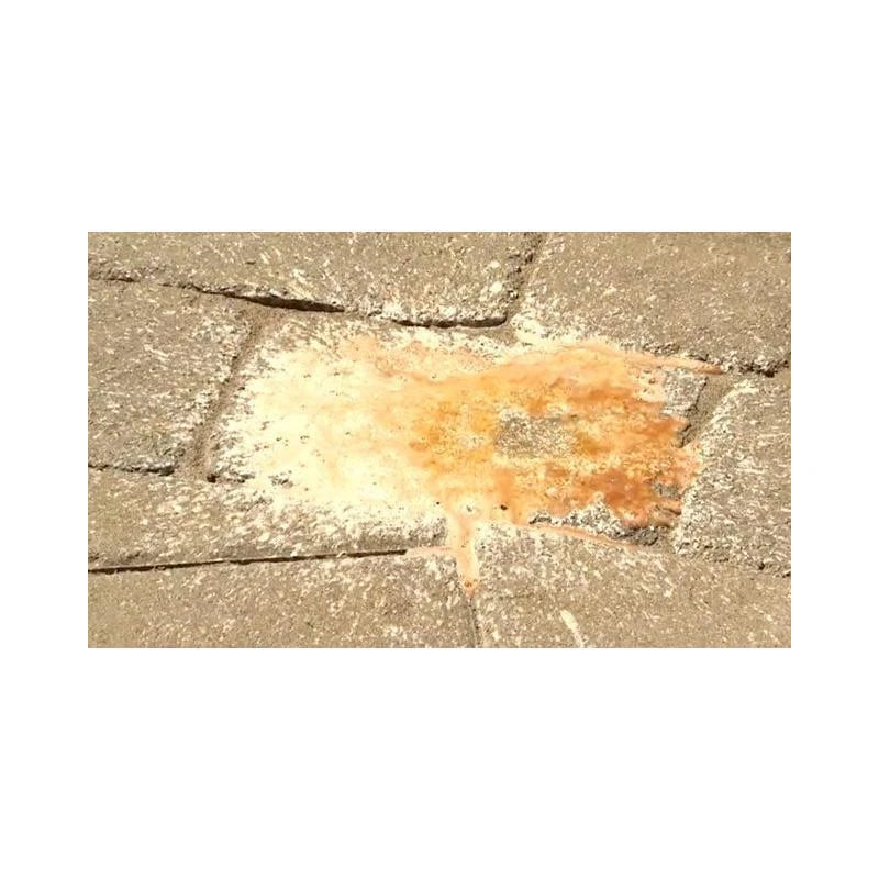 Alliance Gator Clean Rust Remover for Pavers 1 Quart