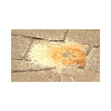 Alliance Gator Clean Rust Remover for Pavers 1 Quart