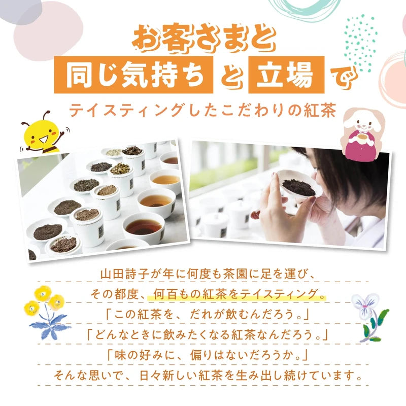 Karel Capek TB20P Straight Ruhuna Tea, 20 Tea Bags, 1 Box