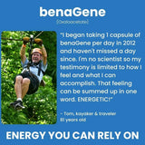 Benagene Oxaloacetate Supplement - Supports Cellular Energy - Thermally Stabilized with Vitamin C - Non-GMO & Vegan - 30 Servings, Once Daily