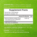Berberine Max Supplement, 5,000mg Per Serving, 240 Veggie Capsules – 97% Pure Berberine HCL – 25:1 Root Extract – Vegetarian Friendly, Non-GMO