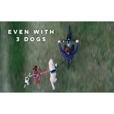 Dog Bike Leash, Hands Free Dog Leashes. Dog Bicycle Lead for Small, Medium and Large Dogs, Designed to Lead one or More Dogs with Maximum Safety, Easy Assembly Without Tools. Patented Product.