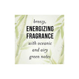 Pantene Leave in Treatment, Twin Pack, 3.7 Fl Oz