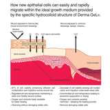 Veterinus Derma GeL® Tube 100mL - 3.4 fl.oz. (PRO-Pack $10 Saving)