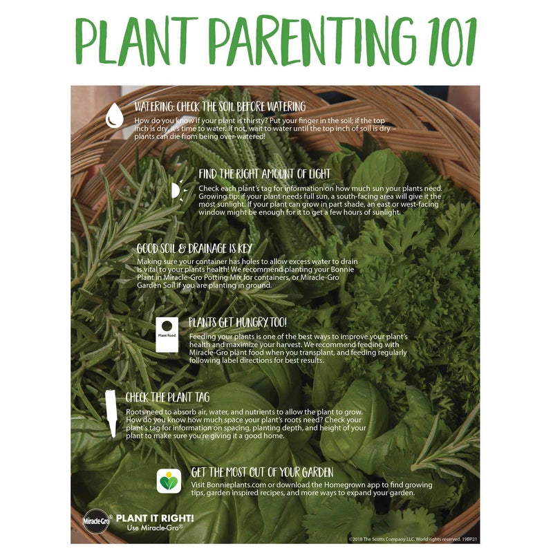 Bonnie Plants Bonnie Original Tomato Live Vegetable Plants - 4 Pack, Disease Resistant, 6 - 8 oz. Fruit Size, Great for Slicing