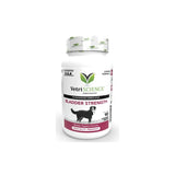 VETRISCIENCE Bladder Strength for Dogs, 90 Chewable Tablets - Vet Formulated Bladder Control Supplement with Saw Palmetto