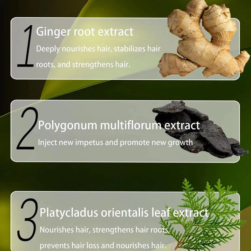 Ginger Anti Hair Loss Shampoo, Polygonum Multiflorum Ginger Plant Extract Anti-Hair Loss Hair Shampoo Ginger Hair Care Shampoo