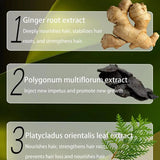 Ginger Anti Hair Loss Shampoo, Polygonum Multiflorum Ginger Plant Extract Anti-Hair Loss Hair Shampoo Ginger Hair Care Shampoo