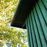 Auson Green Pine Tar