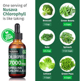 (2 Pack) Vegan Chlorophyll Liquid Drops 7000mg for Immune Support, Energy, Gut & Skin Health, 4-in-1 Liquid Chlorophyll Drops - 100mg, Spirulina, Chlorella, & Copper - Internal Deodorant, 4 Fl Oz