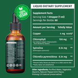 (2 Pack) Vegan Chlorophyll Liquid Drops 7000mg for Immune Support, Energy, Gut & Skin Health, 4-in-1 Liquid Chlorophyll Drops - 100mg, Spirulina, Chlorella, & Copper - Internal Deodorant, 4 Fl Oz