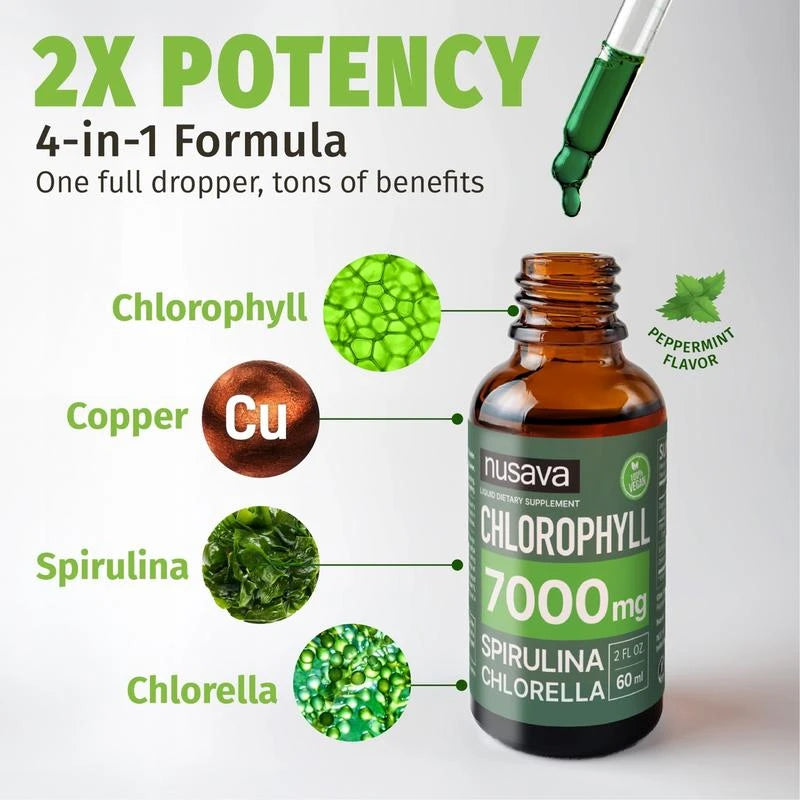 (2-Pack) Vegan Liquid Chlorophyll Drops 7000mg – Natural Supplement for Immune Support, Energy, Digestion, Detox & Skin Health, Mint Flavor