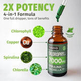 (2-Pack) Vegan Liquid Chlorophyll Drops 7000mg – Natural Supplement for Immune Support, Energy, Digestion, Detox & Skin Health, Mint Flavor