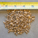 Aoki Blend - Japanese imported Permix professional Bonsai Soil 16 Liter bag.