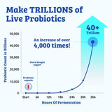 Ultimate Probiotic Yogurt Maker with Adjustable Temperature Control - Make Trillions of Live Probiotics - LIFETIME WARRANTY - material: With Eight 6oz Jars