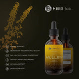 Mullein Drops - Mullein Leaf Extract - Wellness Supplement - Made in USA by HEBS lab. lung health support immune system gluten free vegan soy free - Specification: 2FL. Oz