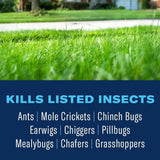 BioAdvanced Lawn Weed and Insect, Concentrate, 32 FOZ