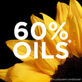 Garnier Olia Gold 9.30, No Ammonia Permanent Hair Dye, Caramel Gold, 6 Count (Pack of 1)