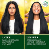 HERBAL ESSENCES Bio:Renew, Shampoo sin sulfatos ni parabenos para cabello seco, maltratado y/o rizado Nutre e Hidrata Pequi & Aguacate 400 ml
