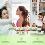 Cortisol Supplement Liquid Drops, 17-In-1 Cortisol Detox W. Magnesium Glycinate
