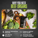 Division One Beef Organ Supplement - Primal Blend Featuring Liver, Heart, Kidney & Beef Liver – Grass-Fed, Non-GMO Organ Meat Supplement for Humans – 120 Capsules