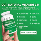 Dr. Berg Nutritionals Dr. Berg Natural Vitamin B1 B6 B12 Complex - Allithiamine Vitamin B1 Supplement with 8 Essential Vitamin B Complex for Men & Women Including Thiamin, Niacin, Folate, Magnesium & More - 60 Capsules