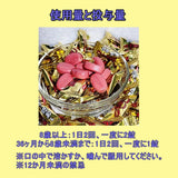 Tenten Korean TENTEN Tenten Chewable, 120 Tablets, Children's Gummies, Made in Korean (LAUNTREE)