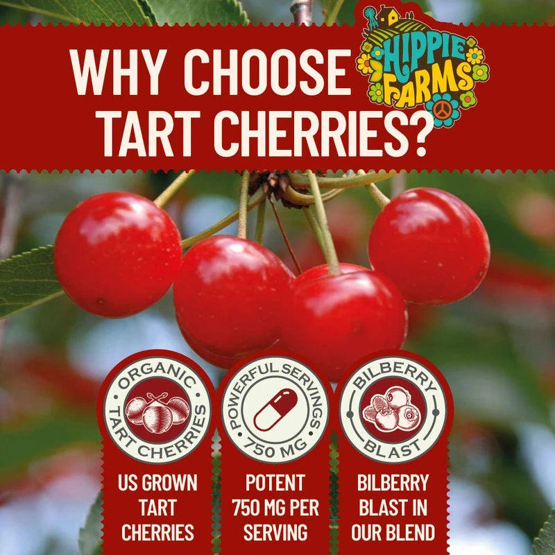 Tart Cherry Capsules Grown in USA - Lumberjack Strength Blend - Tart Cherry Powder with Bilberry (60 Count)