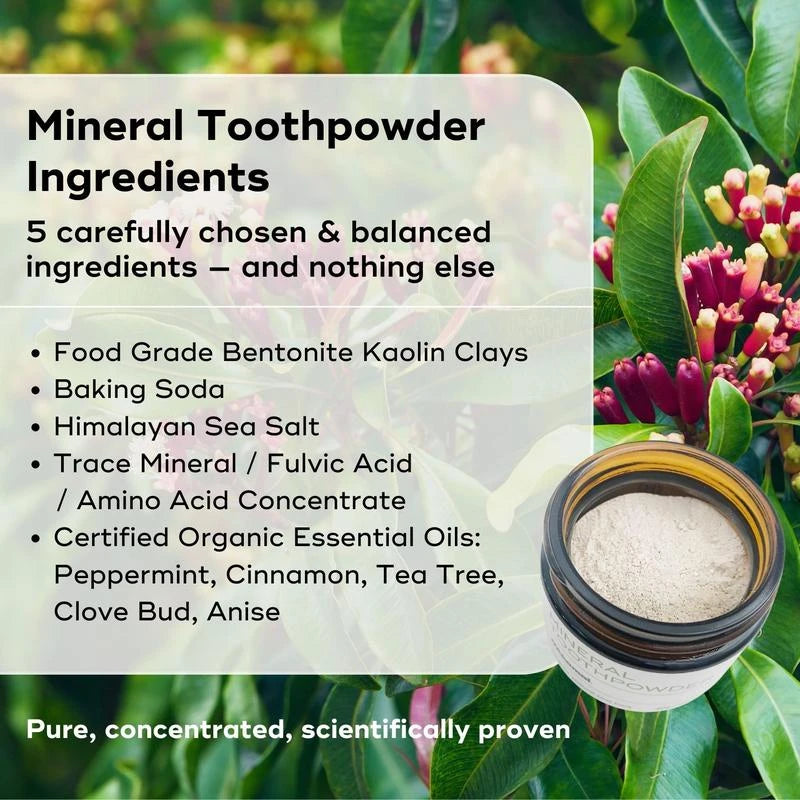Akamai Mineral Toothpowder Remineralizes, Natural Ingredients for Oral Health - SELECT: Glass Jar (2mo supply)