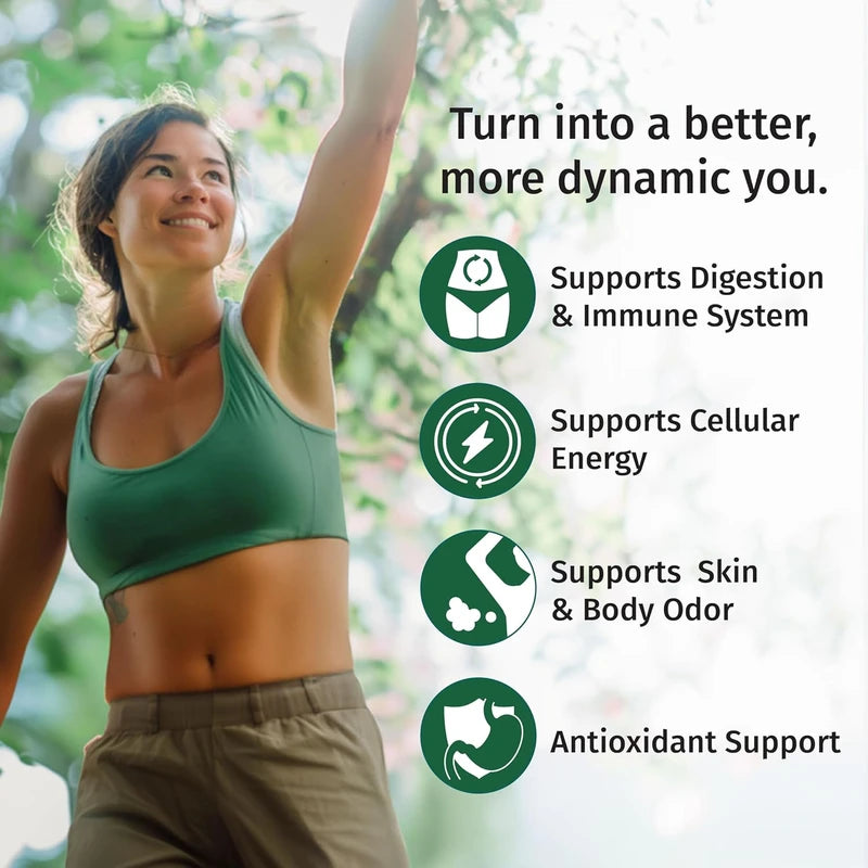 (2 Pack) Vegan Chlorophyll Liquid Drops 7000mg for Immune Support, Energy, Gut & Skin Health, 4-in-1 Liquid Chlorophyll Drops - 100mg, Spirulina, Chlorella, & Copper - Internal Deodorant, 4 Fl Oz