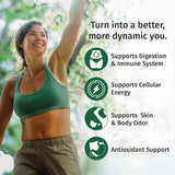 (2 Pack) Vegan Chlorophyll Liquid Drops 7000mg for Immune Support, Energy, Gut & Skin Health, 4-in-1 Liquid Chlorophyll Drops - 100mg, Spirulina, Chlorella, & Copper - Internal Deodorant, 4 Fl Oz