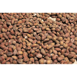 Grand Canyon Silver New Mexico Piñon, Pinon Pine Nuts, 2024 Harvest, 8oz ~ Roasted & Salted