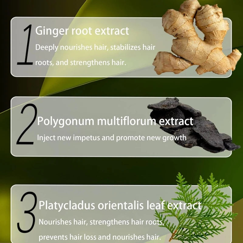 YCNASSS 2PCS Ginger Plant Extract Anti-Hair Loss Hair Shampoo,Identicalven Hair Loss Shampoo, Anti-Dandruff Shampoo, Polygonum Multiflorum Oil Control Shampoo for Hair Growth