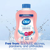 Dial Antibacterial Foaming Hand Wash Refill, Power Berries, 887ml