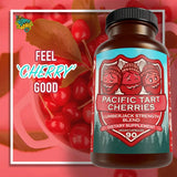 Hippie Farms Tart Cherry Capsules Grown in USA - Lumberjack Strength Blend - Tart Cherry Powder with Bilberry 90 Vegan Pills