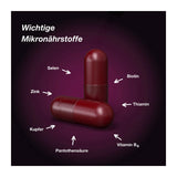 Orthomol Hair Intense - Mikronährstoffe für schönes Haar - mit Biotin, Kupfer und Zink - Kapseln, 60 pcs. Daily portions