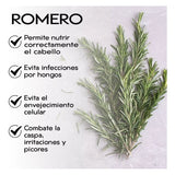 Secreto Herbal Shampoo Secreto Herbal AnticaÃ­da Con Cola De Caballo 1L