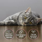 Protexin Veterinary Cystophan Urinary and Bladder Support for Cats, 240 Chicken Flavoured Capsules