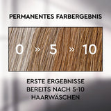 Plantur 39 Anti-grey effect shampoo, 1 x 200 ml, conceals gradually grey hair, for brown to dark hair, long-lasting result without dyeing