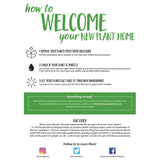 Bonnie Plants Bonnie Original Tomato Live Vegetable Plants - 4 Pack, Disease Resistant, 6 - 8 oz. Fruit Size, Great for Slicing