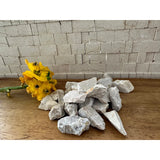 Jerusalem Stones - Set of 10, 0.8" Authentic Natural Small Rocks from Israel - Ideal for Crafts, Mosaics, Decor, Gardening, Vase fillers and Terrariums