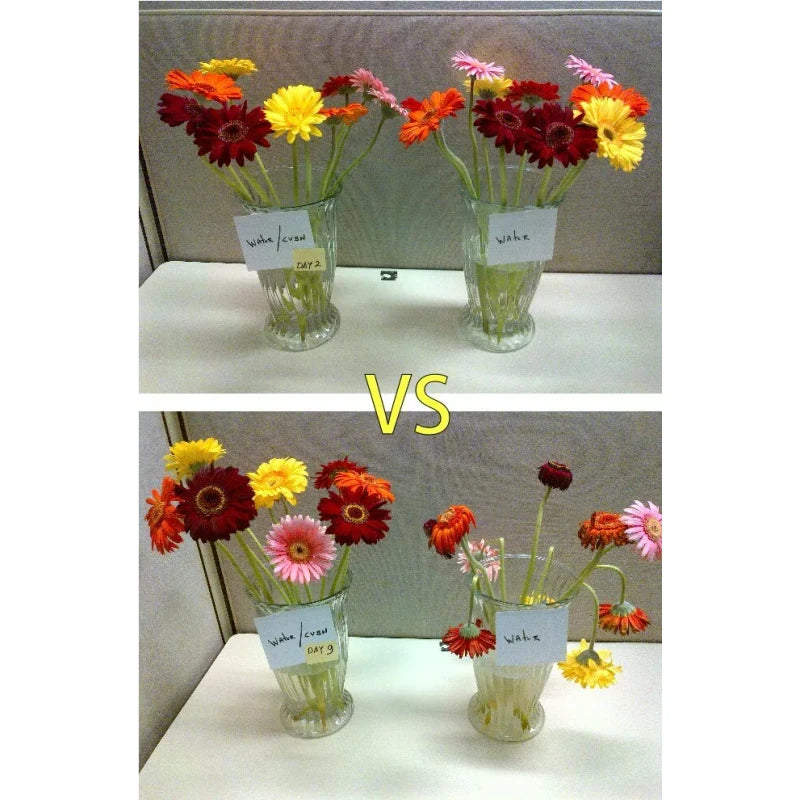 Chrysal CVBN Tablets 800 count jar clear odorless water Flowers Pill NEW SEALED