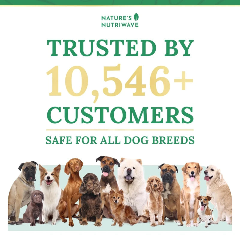 Pawbiotix Liquid probiotics for Dogs - Dog probiotics for Digestive Health | 100% Natural Dog Gut Health probiotics | probiotics for Dogs | Original Formula, Beacon Flavor, 1oz, 3 Month Supply | Nature’s NutriWave