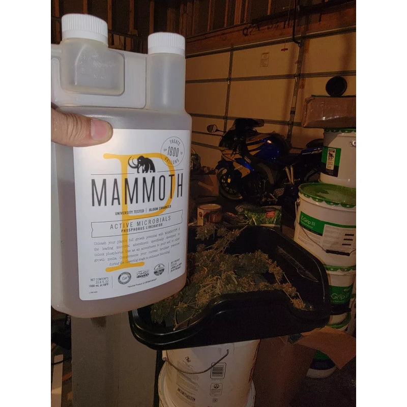 Mammoth P Bloom Booster- Organic Microbial 🎁 FREE SHIP 16% Increase Yields 15mL